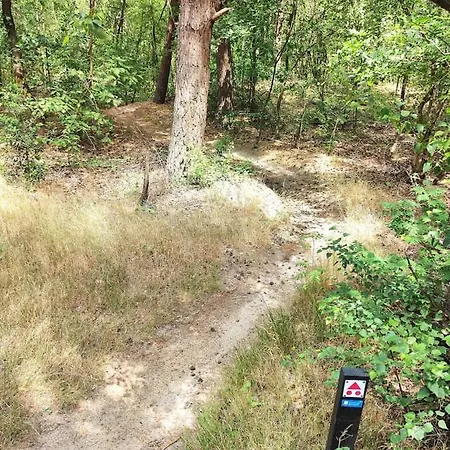Stylish In The Woods Near National Park With Private Hot Tub Free Wifi And Parking Vakantiehuis *