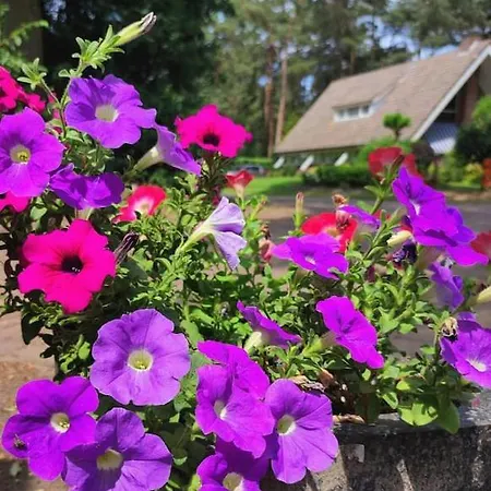 Stylish In The Woods Near National Park With Private Hot Tub Free Wifi And Parking Feriehus